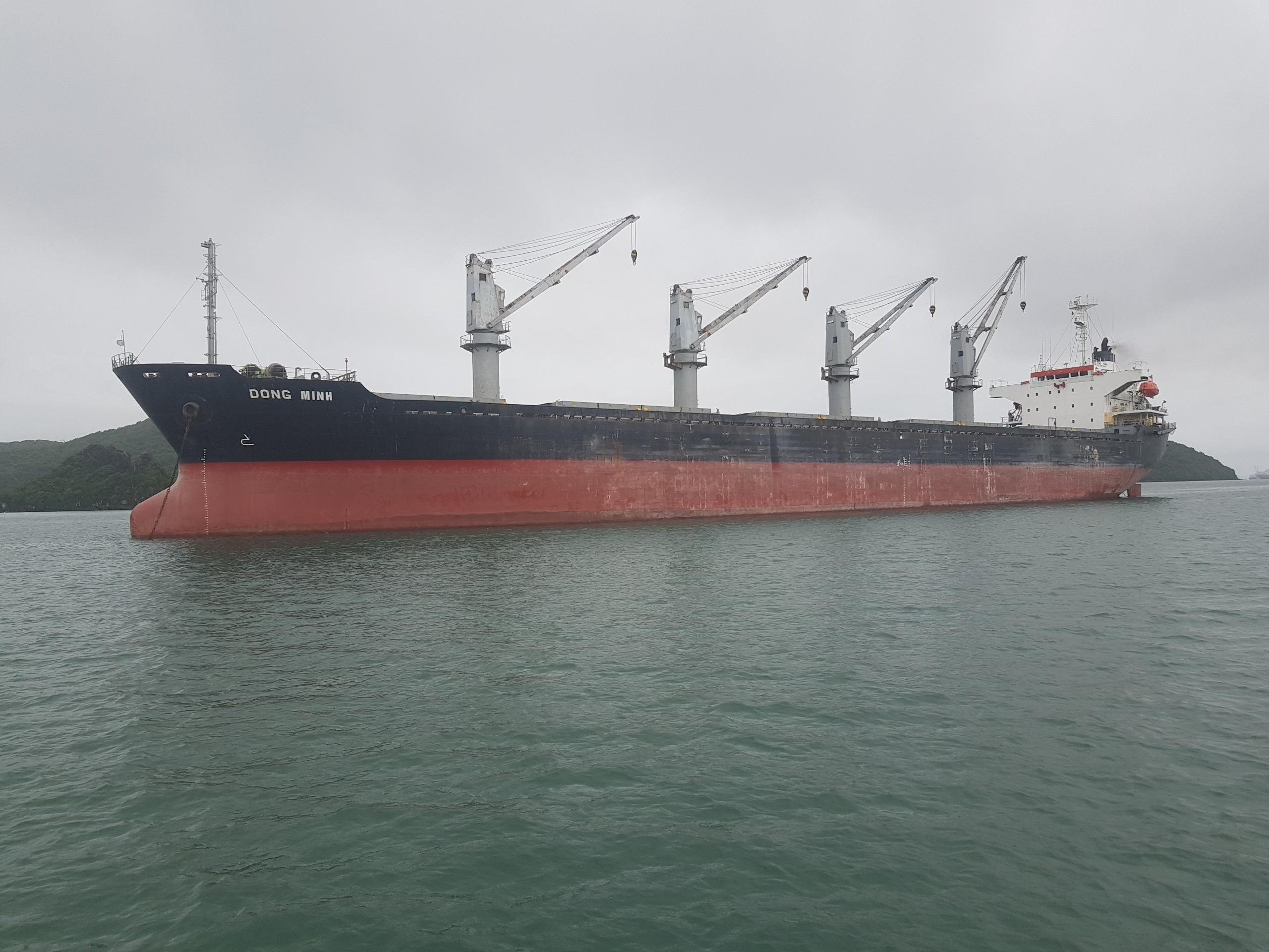 Xuất khẩu clinker tháng 9/2020 (tàu M/V DONG MINH)